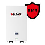 BMS Protection